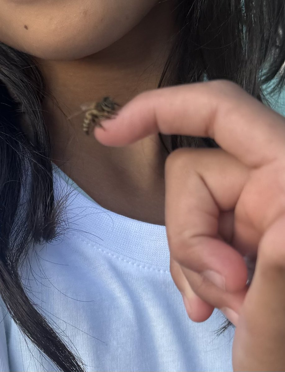 Beukovicd's tweet photo. Danas sam imao priliku da, ispred Poljoprivrednog fakulteta u Novom Sadu, prisustvujem događaju u Dečijem selu u Sremskoj Kamenici, gde je implementiran projekat „Urban Bee“, uz podršku Rotary Club Novi Sad Alma Mons. 🐝🌿

#UrbanBee #AlmaMons #PoljoprivredniFakultet #NoviSad https://t.co/9uiC4Oi2ap