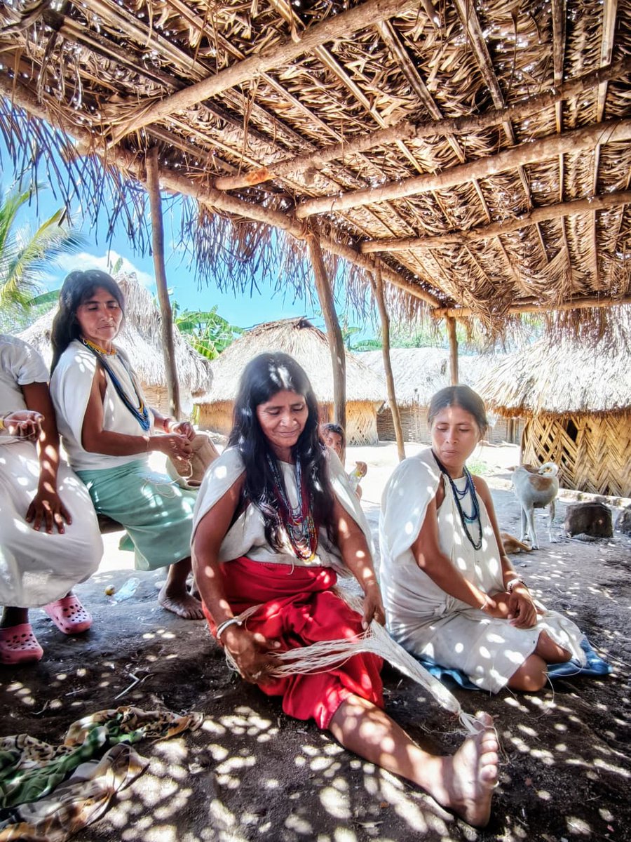 AcnurColombia's tweet photo. 📍🇨🇴 La Guajira 

💙Tras el desplazamiento forzado, la comunidad indígena Wiwa de Kunshamake retornó a su territorio y construye un Plan de Vida clave para su protección. 

🤝Trabajamos por su seguridad, dignidad y derechos.

Con apoyo del Fondo Humanitario para Colombia (RHPF). https://t.co/5JcPcwueuJ