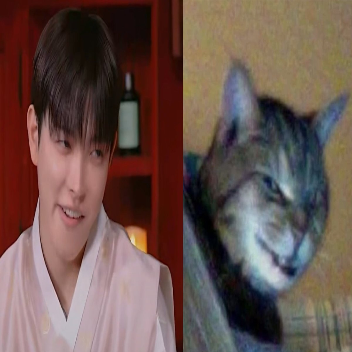 1O24z's tweet photo. evil kittyjoong https://t.co/se3Eth1yk0