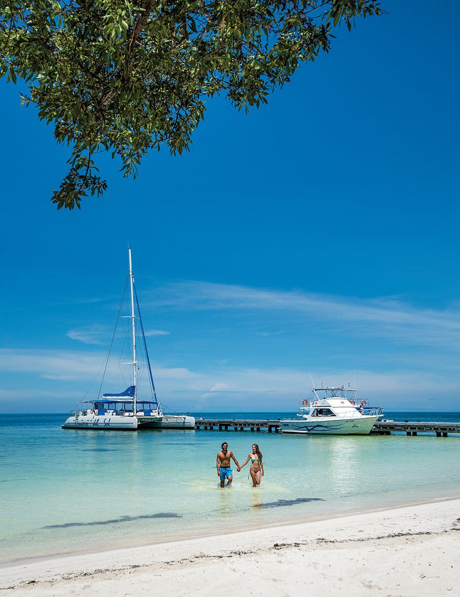MinturCuba's tweet photo. 🚨 ¿Buscas el lugar perfecto para desconectar? Entre playas de aguas cristalinas y paisajes naturales impresionantes, Cuba tiene un rincón esperándote. 🏝️🌊

#CubaUnica #CubaTravel #ViajaACuba #CubaMágica https://t.co/USs0VKQf9B