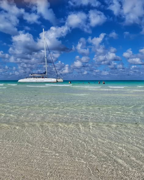MinturCuba's tweet photo. 🚨 ¿Buscas el lugar perfecto para desconectar? Entre playas de aguas cristalinas y paisajes naturales impresionantes, Cuba tiene un rincón esperándote. 🏝️🌊

#CubaUnica #CubaTravel #ViajaACuba #CubaMágica https://t.co/USs0VKQf9B