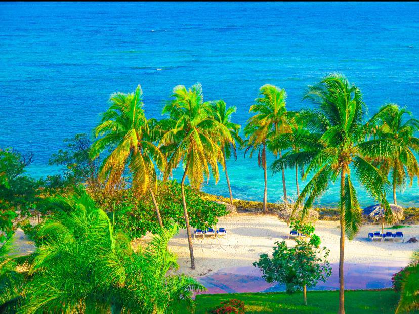 MinturCuba's tweet photo. 🚨 ¿Buscas el lugar perfecto para desconectar? Entre playas de aguas cristalinas y paisajes naturales impresionantes, Cuba tiene un rincón esperándote. 🏝️🌊

#CubaUnica #CubaTravel #ViajaACuba #CubaMágica https://t.co/USs0VKQf9B
