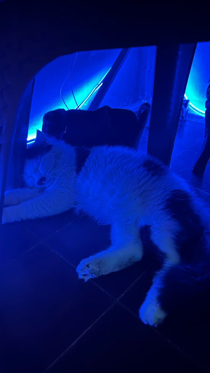 komplotin's tweet photo. enak ye gua brangkat tidur gua pulang tidur https://t.co/oFM3cdy4Ei