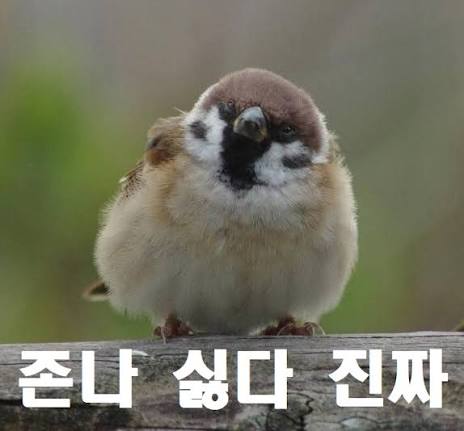loopihoqq's tweet photo. @xjuqoe https://t.co/BqUavzdGc7