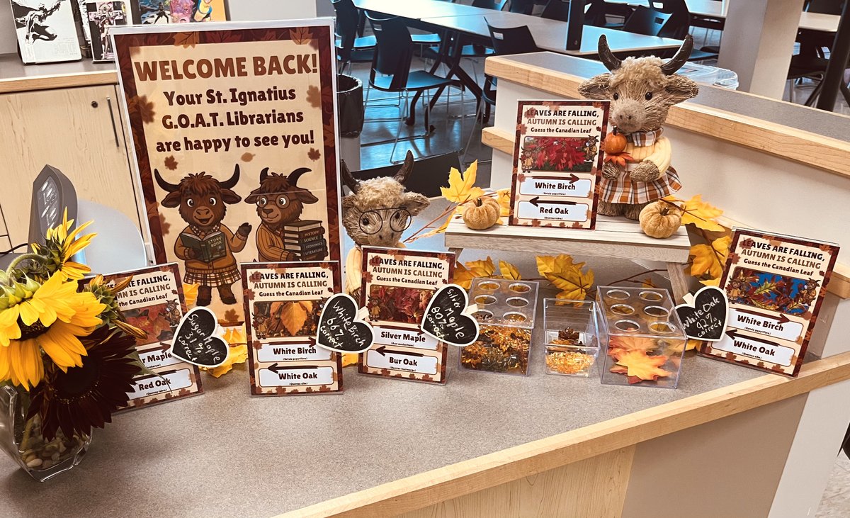 StigLib's tweet photo. Leaves are falling &amp; our SIH Falcons masterclassed Canadian botany! 🍁 After starting with just 31% on the Sugar Maple, students locked in &amp; climbed round by round—finishing with a flawless 100% on the Red Oak! You could say our SIH team is un-be-leaf-able. 🍁📚 https://t.co/JkA8TUpOCx