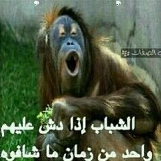 N_AFC8's tweet photo. أنديه التشامبيونشيب بعد هبوط السيتي https://t.co/TFrsYW5R02