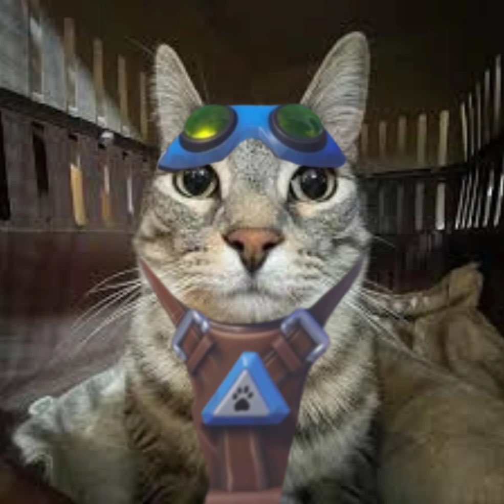 jetpackcatt's tweet photo. meow… https://t.co/XAfFFLOUUS
