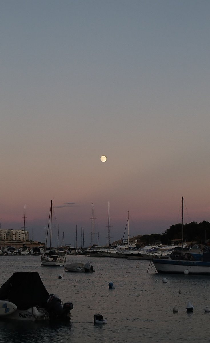 Pewshater's tweet photo. 🌕 https://t.co/JIuQQmXhS0