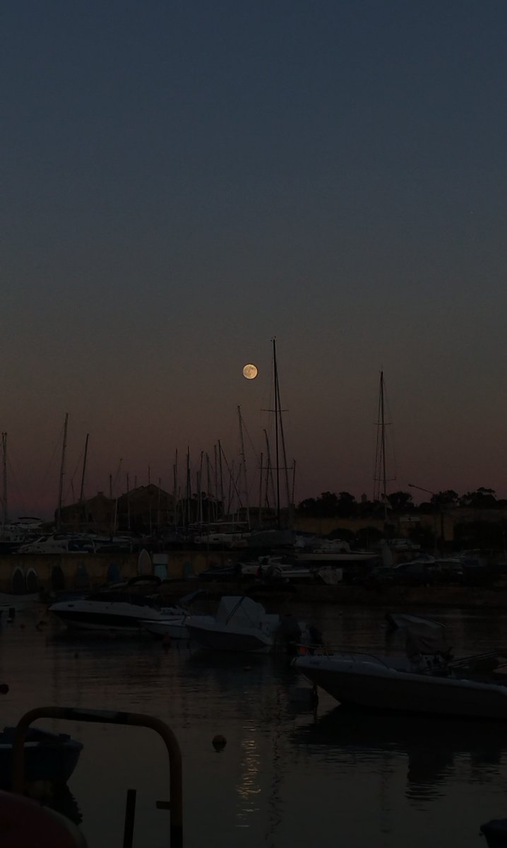 Pewshater's tweet photo. 🌕 https://t.co/JIuQQmXhS0