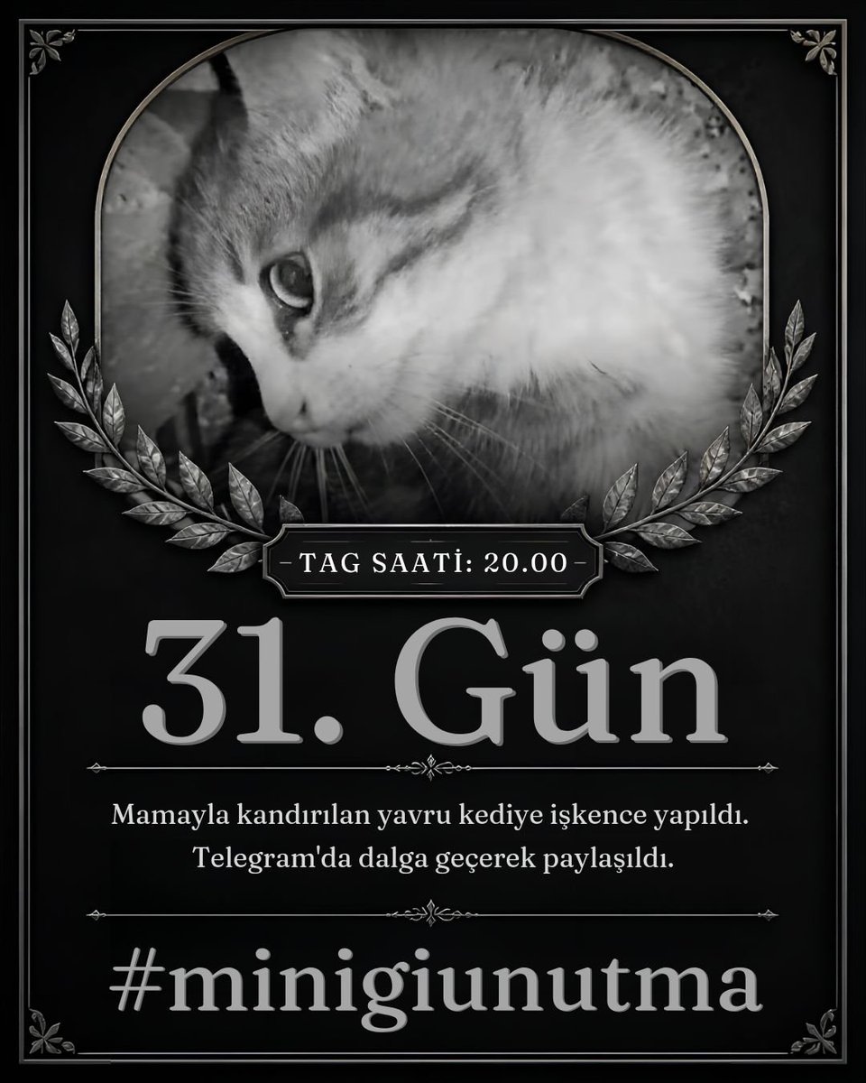 Ayn344's tweet photo. Yavru bir masuma yapılanları kabul etmiyoruz Suçlular yakalansın
#minigiunutma https://t.co/vNxOA6gbVM