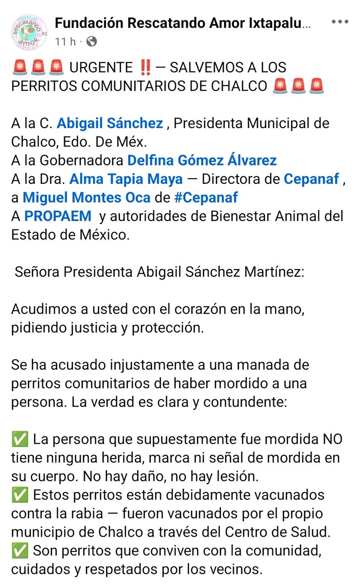 LicAnimalista's tweet photo. No es posible que por un chisme se afecte a los animales, atención @delfinagomeza urge regular y proteger a los perros comunitarios y erradicar políticas públicas pro matanza de animales como lo pretende hacer @AbigailSanchezMtz que no sirven para nada @CEPANAF @propaem_sma https://t.co/Ea4lPhATWS