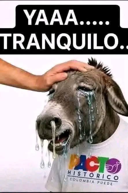 juanchy23's tweet photo. @caroavendanopm https://t.co/t8g4JEU9wU