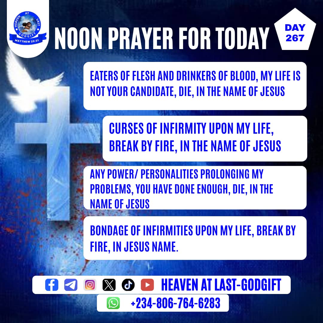 heavenatlastgg's tweet photo. NOON PRAYERS FOR TODAY
#noonprayers #noonconfessionprayer #noondailyprayers #confessionprayer #confession #timeforprayer #prayertime #september #day267 #viralpost2026シ #viralpost2026 #dailyprayers #prayer #pray #heavenatlastgodgiftglobaloutreach #halggo https://t.co/BJeErq0dVz