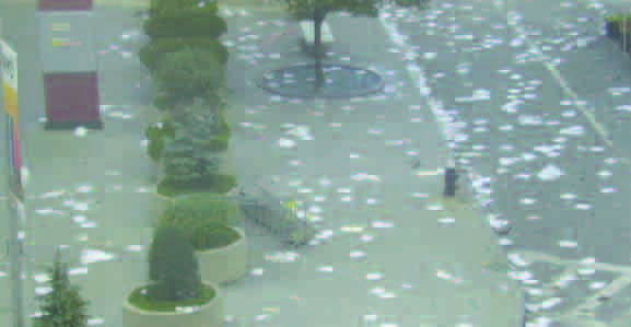 Sept11Archivist's tweet photo. Photos taken by Jim Lecce on 9/11 from an apartment at 110 Liberty Street, just south of the World Trade Center complex. https://t.co/DUtaSIzuQs