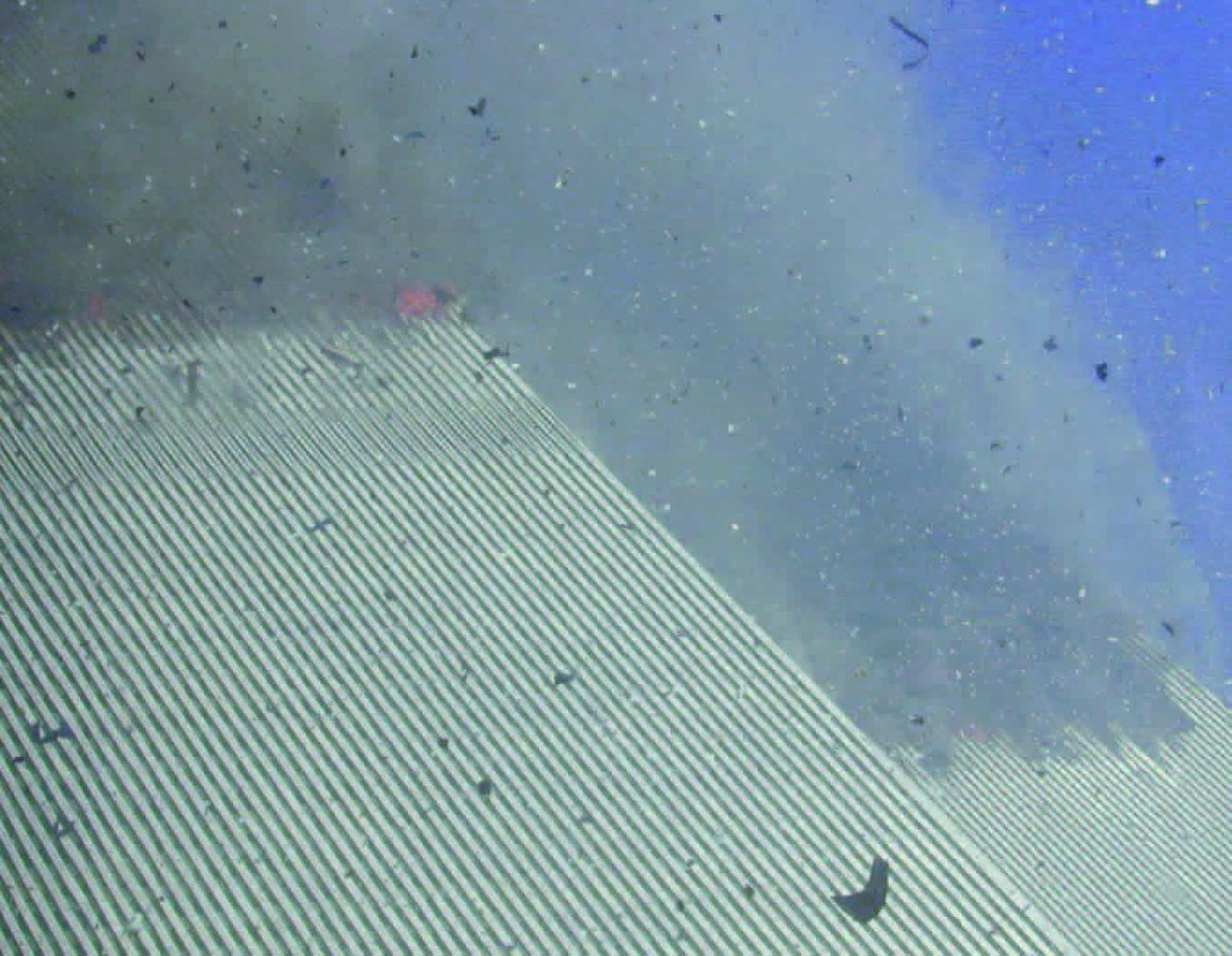 Sept11Archivist's tweet photo. Photos taken by Jim Lecce on 9/11 from an apartment at 110 Liberty Street, just south of the World Trade Center complex. https://t.co/DUtaSIzuQs