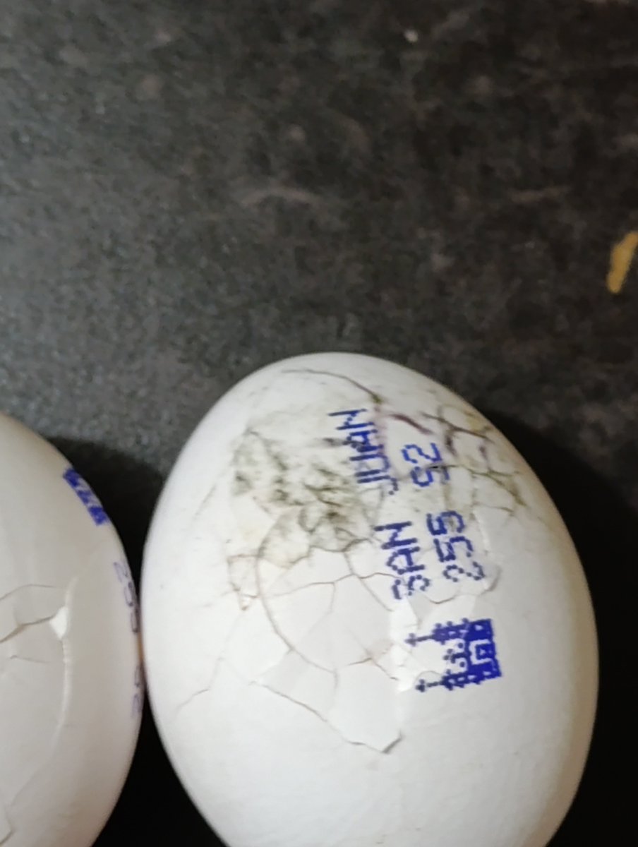 JALBERTO8619's tweet photo. Realicé una compra de diversos productos en una de las tiendas de su grupo @SamsClubMexico y viene en mal estado (anexo foto) con estos ya son 6 huevos que tengo que tirar, lo que se traduce en aproximadamente medio kilo
@WalmartMexico https://t.co/ibQfnZ103w