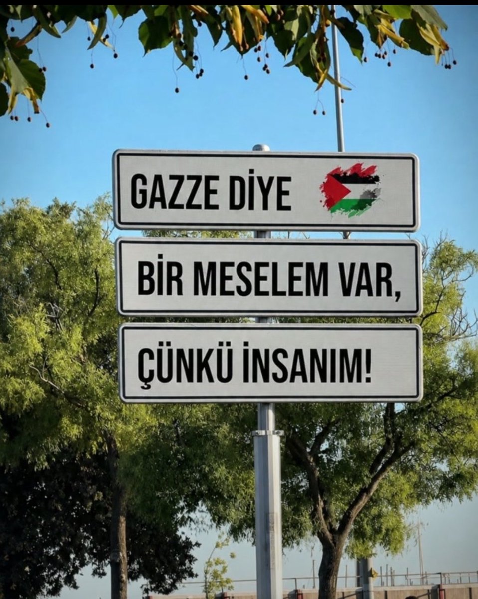 nazserra1's tweet photo. Gazze diye bir meselem var. Çünkü insanım. https://t.co/2CSJ7Kv3rW