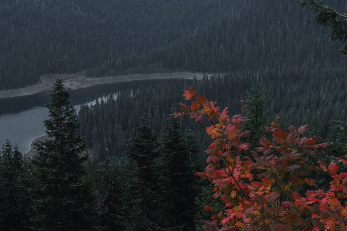 blodgrevinnen's tweet photo. pretty fall colors high in the mountains https://t.co/faIF4ySsLY
