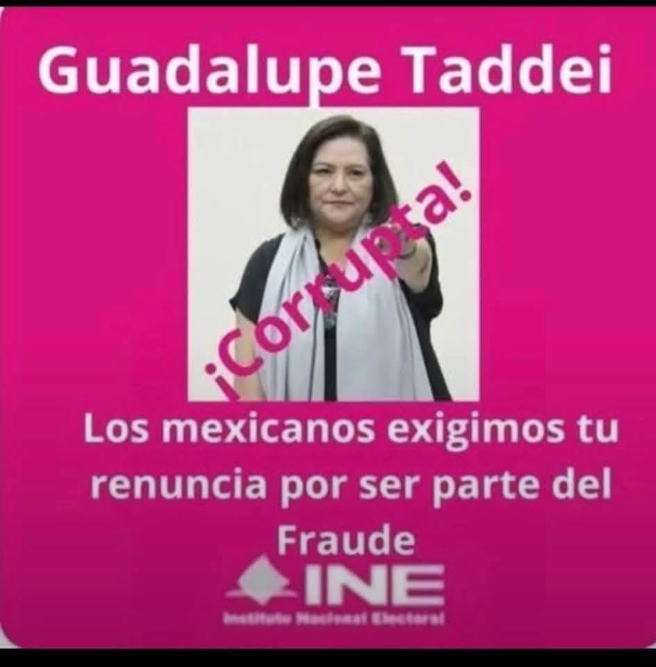 clausrichart's tweet photo. #GuadalupeTaddei es la Manuel Bartlett del narco @PartidoMorenaMx.

Desde #NarcoINE @INEMexico persigue abogadas como @moni_calles, que ha exhibido corrupción, nepotismo, tráfico de influencias, terrorismo laboral y una larga lista de ilícitos.

Por ese hecho, la denunció con la #FiscalCarnala @ErnestinaGodoy_, con delitos inexistentes.

También desde #MorINE prepara un gran fraude electoral para 2027, mucho mayor que con la caída del sistema de 1988.

Con las boletas planchadas y permitir candidaturas del crimen organizado, al no tener mecanismos para impedir participen. 

Por eso debe renunciar, al trabajar para los narco políticos del narco régimen y no para los ciudadanos #NoNosCallarán #LaClausOpinión.