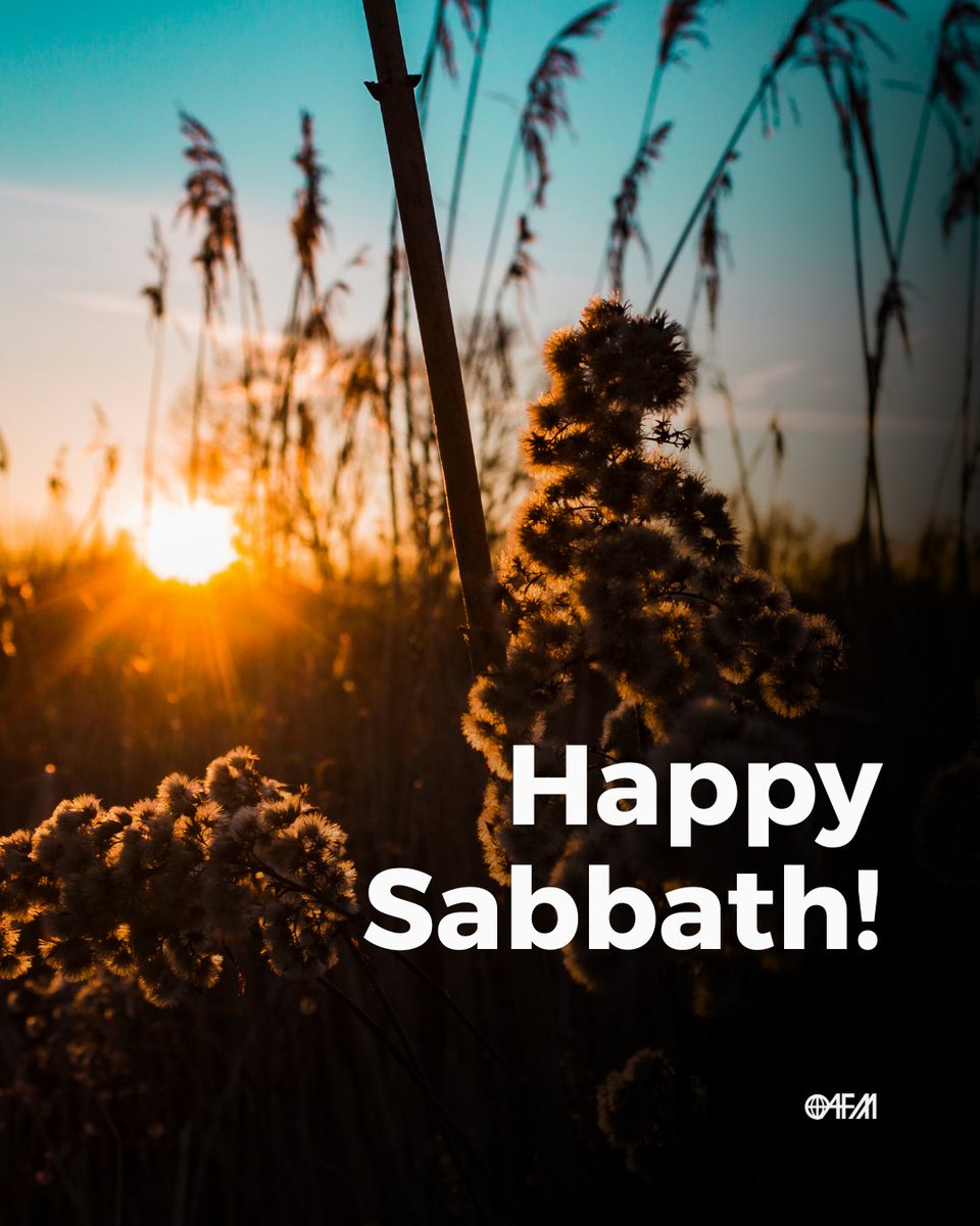 AFMissions's tweet photo. Happy Sabbath, Missionary Family! 💙 https://t.co/27TyyqYJyl