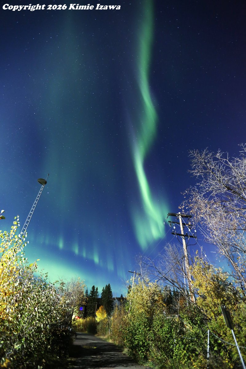 audrey19740719's tweet photo. #Aurora from #Greatslavelake #Yellowknife
September 25, 2026 Fri 0:00-2:30am +5℃ Clear
#NWT #ExploreNWT #SpectacularNWT
#northwestterritory #northernlights
#イエローナイフ #ノースウェストテリトリー
#オーロラ #オーロラ姫 #秋オーロラ https://t.co/H0RjH0GzQx