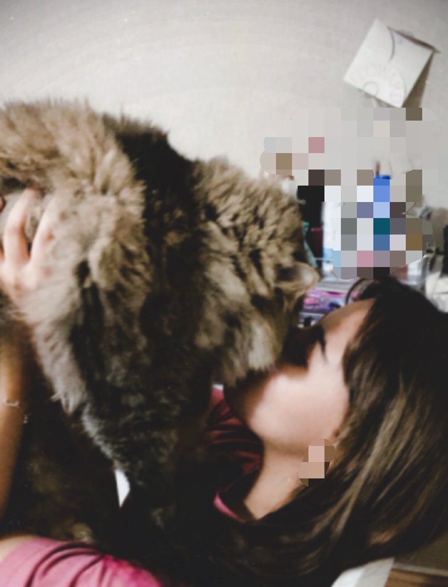 dllljk's tweet photo. 😺 https://t.co/WYr4J57sCz