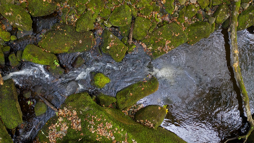 BristolWater's tweet photo. Our rivers play a vital role in supplying water to our homes, supporting wildlife and helping our environment thrive.

After one of the hottest and driest summers on record, rivers, reservoirs and groundwater across the region need time to recover. While recent rainfall is welcome, restoring these precious water resources is a gradual process.

As Carolyn Cadman, our Chief Sustainability and Natural Resources Officer, explains, healthy rivers help improve water quality, support wildlife and retain more water in the landscape during dry periods. That's why we're continuing to carefully manage water resources, reduce leakage and invest in long-term resilience.

We know our customers care about the environment as much as we do. By working together and using water wisely, we can help protect our rivers, support nature and safeguard water resources for future generations. 💧🌿