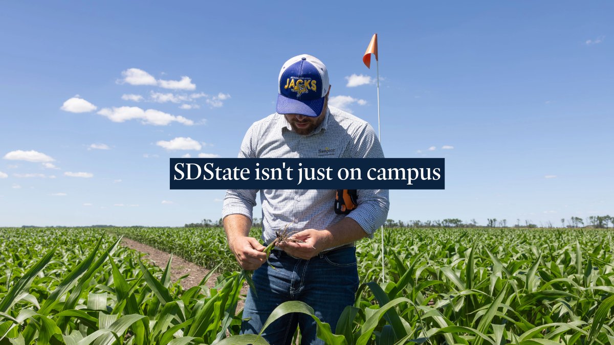 SDState's tweet photo. From campus to communities across South Dakota, #SDState is everywhere. 🐰 #GreaterSDState
https://t.co/i7zizAM4Tz https://t.co/lsPdZxhKx2