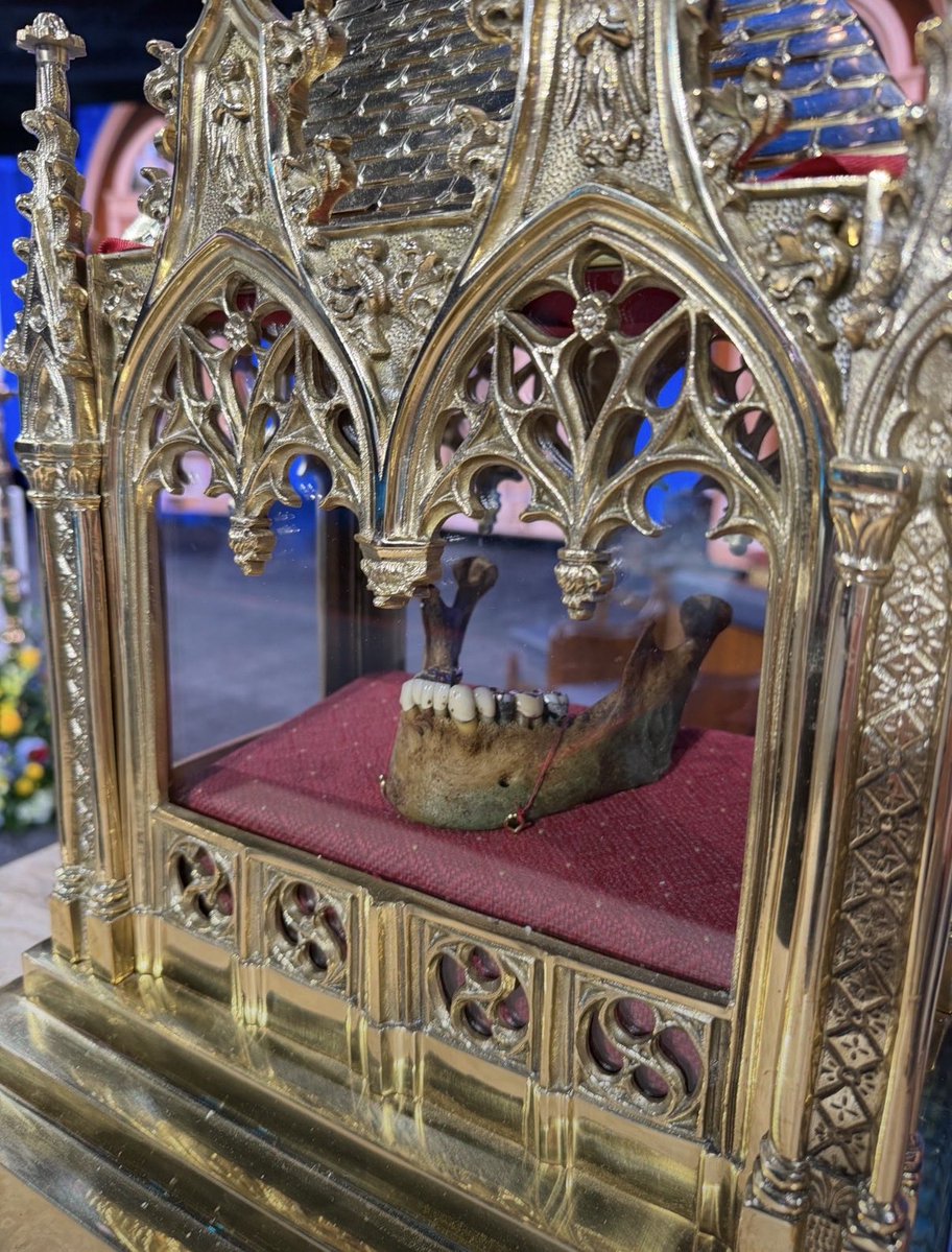thattradgal's tweet photo. Relics aren’t a medieval invention.

They’re biblical.

God worked through the bones of Elisha:

“When the man touched the bones of Elisha, he came back to life.”
2 Kings 13:21

A woman was healed by touching Christ’s garment.
Mark 5:27–30

Handkerchiefs and aprons that had touched St. Paul were carried to the sick, and “the diseases left them.”
Acts 19:11–12

From the very beginning, Christians understood that God can use physical things associated with His saints as instruments of His grace.

The practice didn’t disappear after the Apostles.

The early Christians gathered at the tombs of the martyrs, celebrated the Eucharist over their relics, and preserved their remains with reverence.

Relics trace a physical lineage through Christianity:

The Apostles → the martyrs → the Church Fathers → the saints → the Church today.

Christianity has never been merely an idea passed down in books.

It is a faith rooted in real people, real bodies, real places, and real history.

The relics are a tangible reminder:

The saints were real.
The Apostles were real.
The Church they founded was real.
And that Church is still here.

The faith of the first Christians did not vanish into history.

It is still alive today, in every Catholic Church. 

Blessed Fulton Sheen, pray for us.