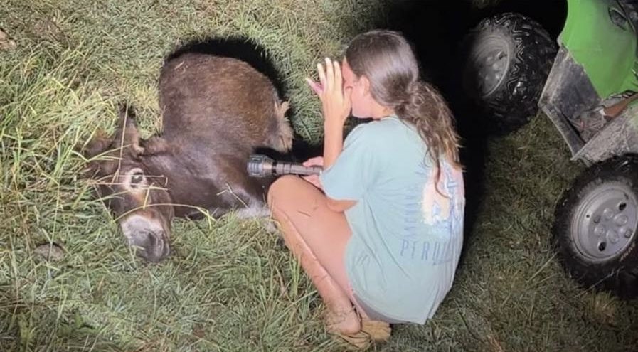 Justice4HeeHaw's tweet photo. The #JusticeForHeeHaw is not too far away anymore... we keep fighting and pushing, until his unlawful death is avenged!

Lawyers on it, Bodycam to be released soon, murderer will be convicted! https://t.co/w9Je46myhu