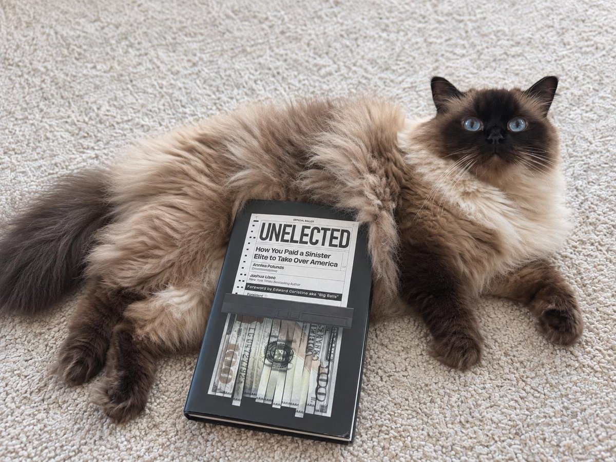 DataRepublican's tweet photo. 🚨 1,000 MORE SIGNED COPIES OF UNELECTED ARE LIVE 🚨

All the way back in spring, you bought the first 1,000 copies of UNELECTED within a matter of hours. 

I genuinely don't know how to thank you enough. 

One of UNELECTED's most powerful themes is creating alternatives to legacy institutions. I felt like I would contradict my own message by going with a "Big Five" publisher, so I chose to go all-in with @PassagePress instead. 

We've been pushing pre-orders hard since spring, and there's a reason for that. With a small publisher, we had to build inventory and sales volume to get the book launched in retail chains. You've responded. You've done that. You're making this book happen. Passage tells me "they sure ordered enough to have it on [store] shelves!"

I got an early copy - and let me tell you, it's BEAUTIFUL. It's also huge, somewhere between a textbook and a normal paperback. 470 pages, and 100+ of these pages are citations (over a thousand of them). What also means this is a DENSE book - after all, @JoshuaLisec likes to call it the "first and most complete history of globalism." 

It's heavy on history because of that ambition. If you’re primarily interested in current politics, the final third brings the entire historical argument into the present... DOGE, Trump, NGOs, and what comes next. I wrote this book to be enduring and applicable long after the events of 2025. 

You, the readers, the supporters - you made the impossible happen. This is what America is all about. 🇺🇸

This week, we've made 1,000+ more signed copies available directly from @PassagePress . If you missed out on the first rush, now's your chance. 

Pre-order link below, after Bourbon's picture 👇