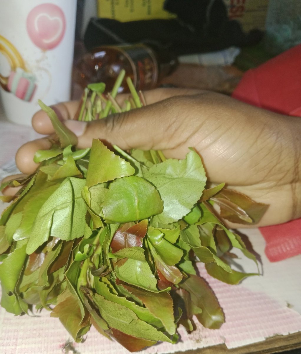 onlywoodlands's tweet photo. Definition of alele mtoto 🌿: https://t.co/1sttPi0zVQ