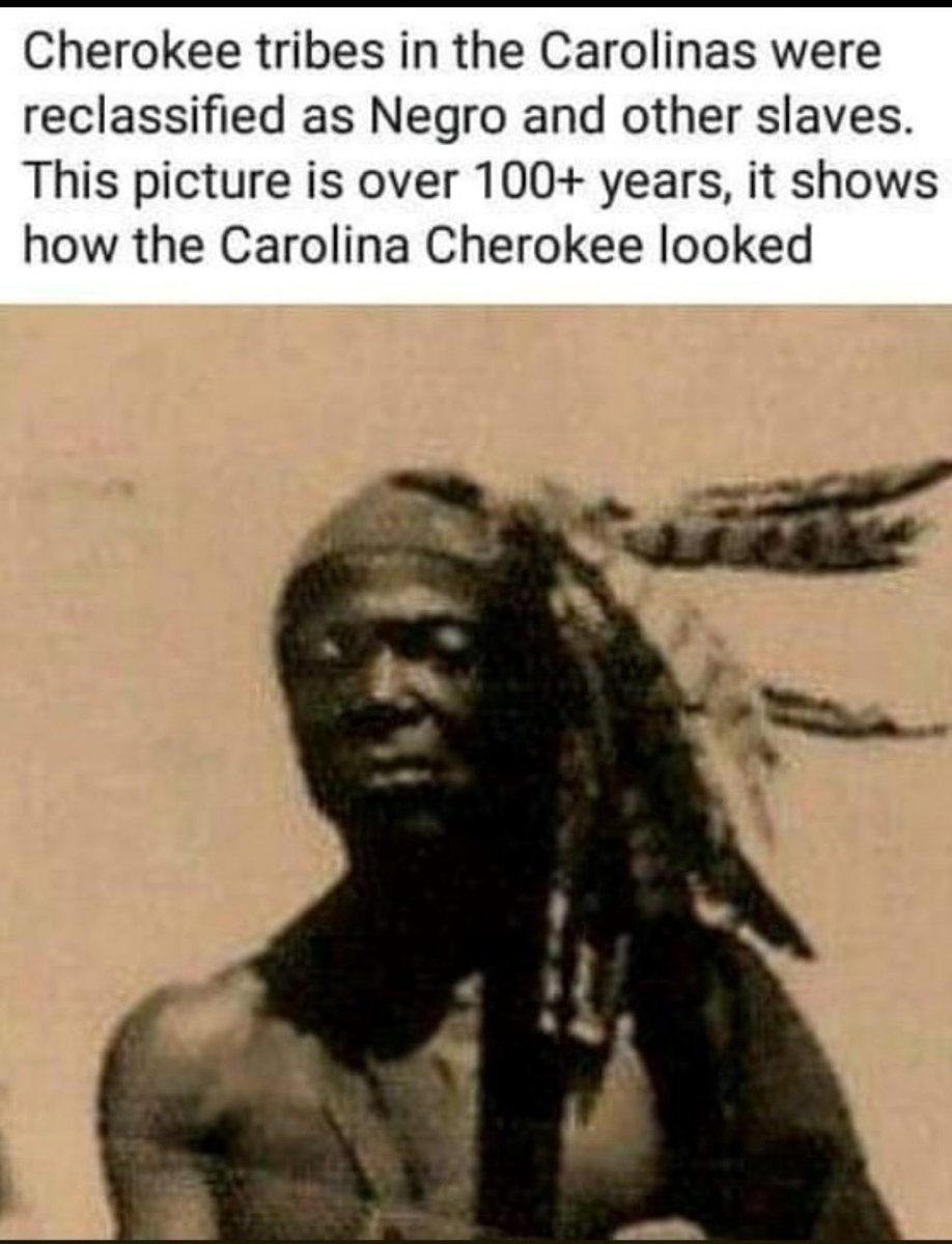 MrsEvans916's tweet photo. Carolina Cherokee. 🪶 https://t.co/DqErMAkIZ3