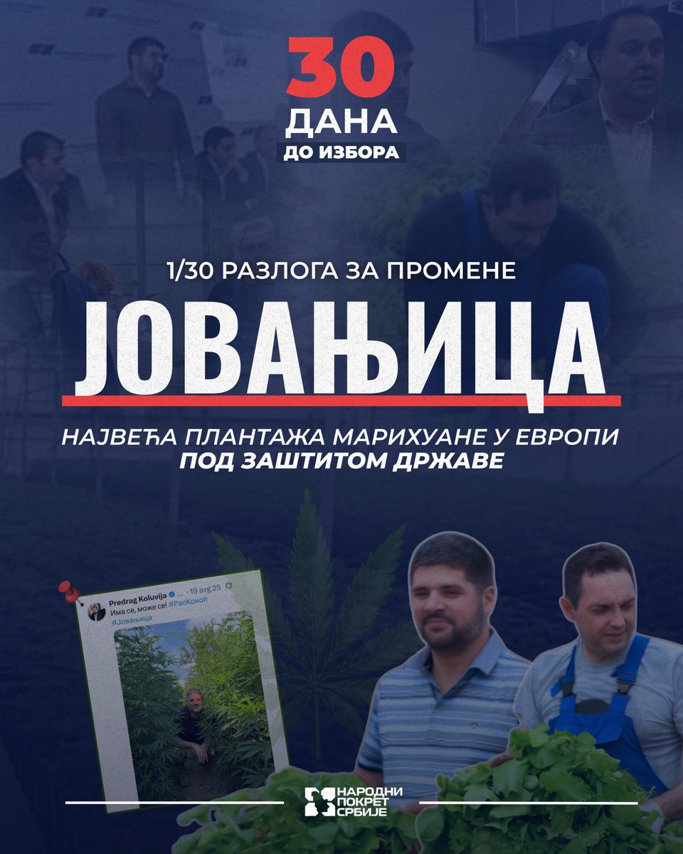NarodniPokretS's tweet photo. SVE ŠTO TREBA DA ZNAŠ O AFERI JOVANJICA ‼️

Sedam godina je prošlo od otkrivanja najveće plantaže marihuane u Evropi, sa preko 66.000 biljaka i 600 kilograma marihuane u blizini Stare Pazove. Pod zemljom su pronađene laboratorije, uređaji za ometanje mobilnih signala i puške za obaranje dronova. 

Suđenje i dalje traje, ključni dokazi se osporavaju i još uvek nema odgovora na najvažnija pitanja — ko je sve znao, ko je koga štitio i zašto predsednik Srbije do danas brani Predraga Koluviju i projekat „Jovanjica”? 

Odbijamo da zaboravimo afere Srpske napredne stranke koje su godinama unazad pogađale Srbiju. Zato te uoči izbora 25. oktobra podsećamo na 30 od brojnih afera SNS-a. #30za3

Ako ti je dosta afera koje se ponavljaju iz godine u godinu, 25. oktobra glasaj za listu broj 3️⃣

#narodnipokretsrbije #izbori2026
