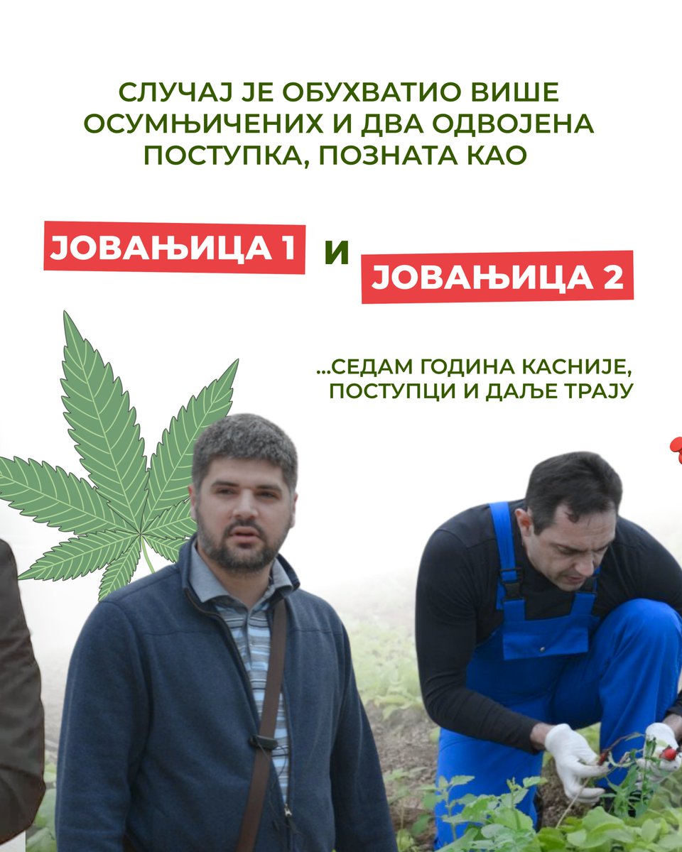 NarodniPokretS's tweet photo. SVE ŠTO TREBA DA ZNAŠ O AFERI JOVANJICA ‼️

Sedam godina je prošlo od otkrivanja najveće plantaže marihuane u Evropi, sa preko 66.000 biljaka i 600 kilograma marihuane u blizini Stare Pazove. Pod zemljom su pronađene laboratorije, uređaji za ometanje mobilnih signala i puške za obaranje dronova. 

Suđenje i dalje traje, ključni dokazi se osporavaju i još uvek nema odgovora na najvažnija pitanja — ko je sve znao, ko je koga štitio i zašto predsednik Srbije do danas brani Predraga Koluviju i projekat „Jovanjica”? 

Odbijamo da zaboravimo afere Srpske napredne stranke koje su godinama unazad pogađale Srbiju. Zato te uoči izbora 25. oktobra podsećamo na 30 od brojnih afera SNS-a. #30za3

Ako ti je dosta afera koje se ponavljaju iz godine u godinu, 25. oktobra glasaj za listu broj 3️⃣

#narodnipokretsrbije #izbori2026