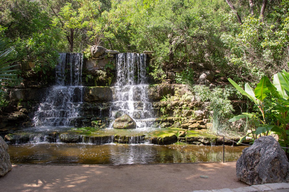 AustinCityParks's tweet photo. Zilker Botanical Garden, 2220 Barton Springs Rd., is closing Thurs., 10/1, for facility abatement, renovation &amp; maintenance. Zilker Botanical Garden will reopen on Wed., 10/16, although the Garden's main building may remain closed beyond October 16. Info: https://t.co/An3k260aNV. https://t.co/uoBgqHZ9Jn