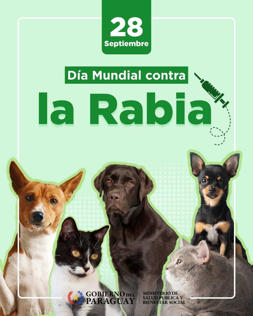 msaludpy's tweet photo. 28 de septiembre: Día Mundial de la Rabia, un llamado a la acción conjunta 

La lucha contra la rabia avanza con la colaboración entre comunidades, profesionales y autoridades para fortalecer la prevención y eliminar la enfermedad.

➕ℹ️ https://t.co/IKaulfVTlQ https://t.co/nIpJuaWqks