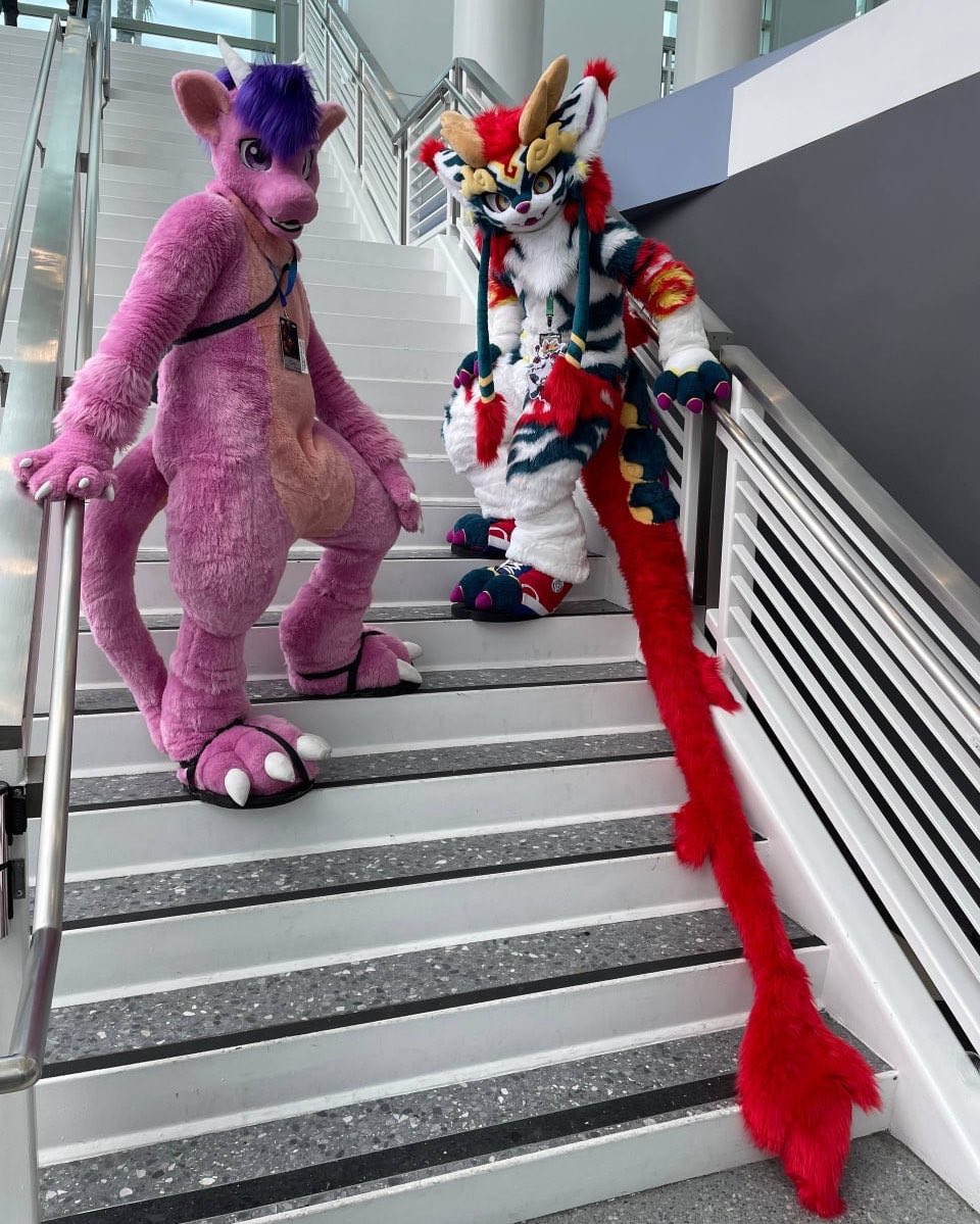 CronoVT's tweet photo. Tail mogged 😼 https://t.co/eENXSGj9mH