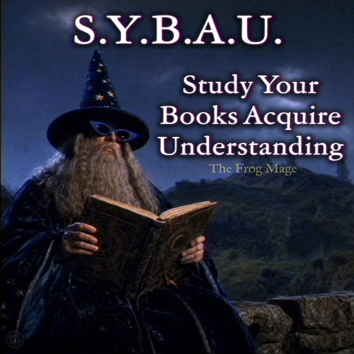 the_frog_mage's tweet photo. BACK TO YOUR STUDIES, APPRENTICE. 🐸🪄💫💫 https://t.co/PH80VwhikD