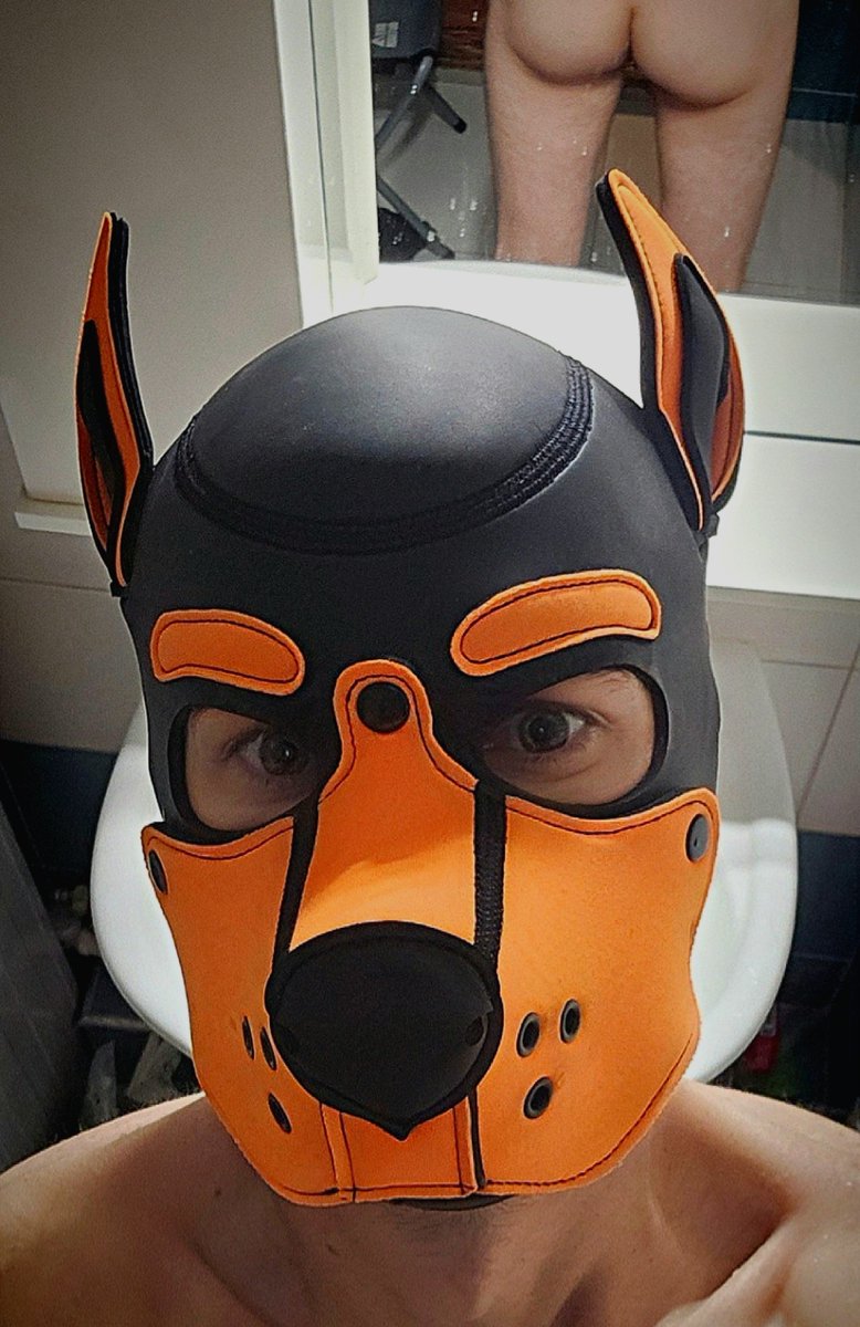 raf_puppy's tweet photo. Water treatments completed💦 https://t.co/PEGC7ORnLt