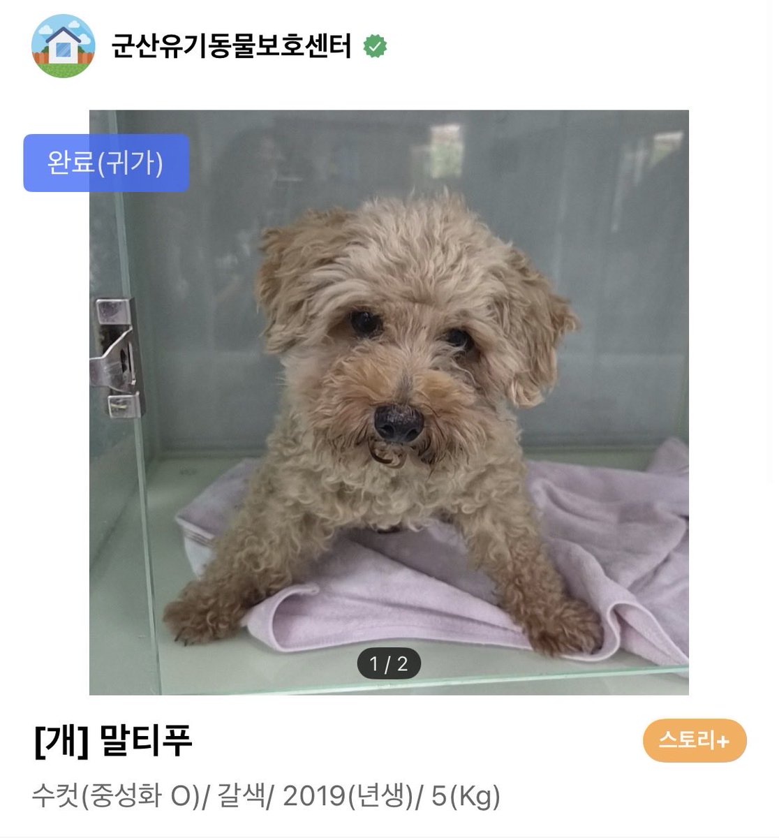 1004dochee's tweet photo. 포인핸드 보니까 집에 돌아간 것 같아요 🥹 다행이다 아기… https://t.co/NHXtF0RRVT