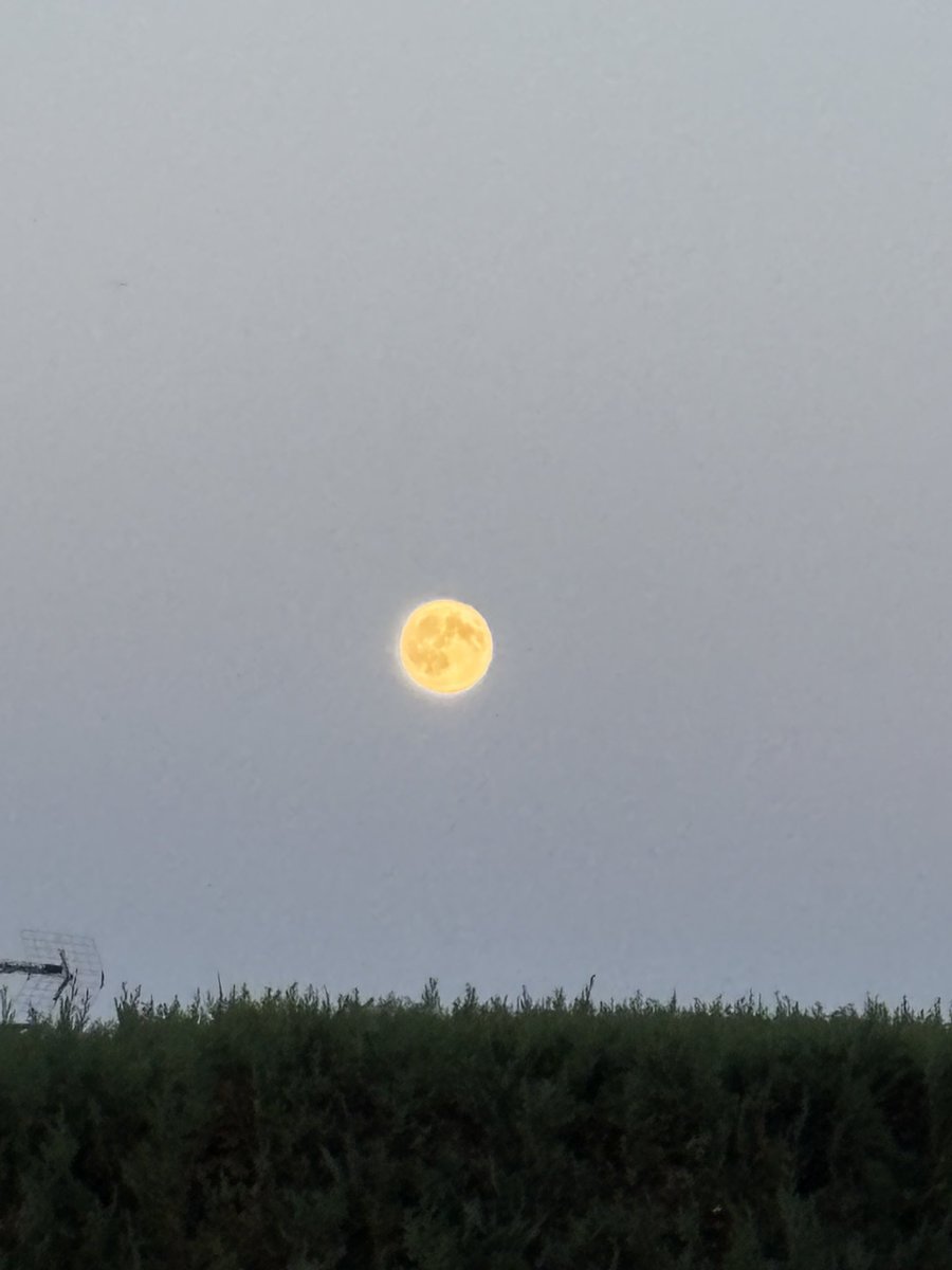 LifeLife02000's tweet photo. C.🌕✨ https://t.co/anZvc2xWYR
