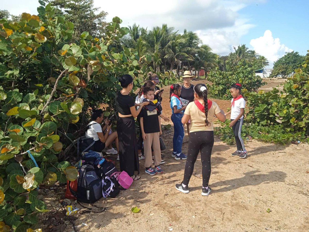 DaniloSantiest4's tweet photo. Desde el Consejo Popular Baracoa perteneciente al municipio #Bauta,en la circunscripción 53, se desarrollan acciones en la Red Juvenil Comunitaria
#ArtemisaJuntosSomosMás https://t.co/d7gmRscoBe