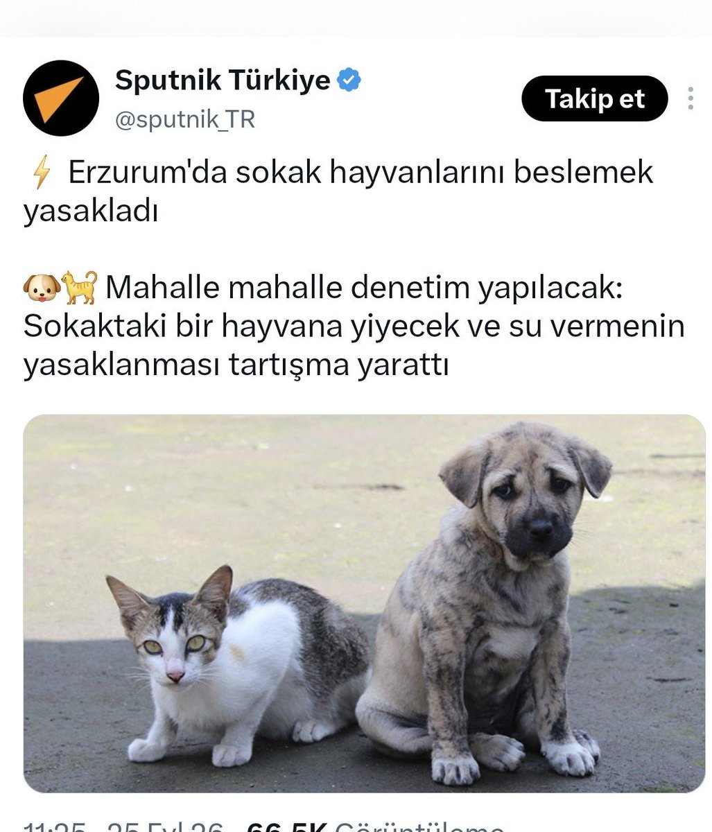 efelercanlari's tweet photo. İNSANLIKTAN UZAKLASMAK İCİN BU HEFES NİYE 

işi gücü bırakıp, ülkenin gerçek sorunları ile uğraşmayıp kedi köpekle kafayı bozmak niye.....

Sokak hayvanlarının yediği iki dilim ekmeği bir kap suyu çok görenlereceginize, yitip giden 23 milyar dolar parayı bulun, Ataizi hırsızı yaşamayı yasaklayın......
