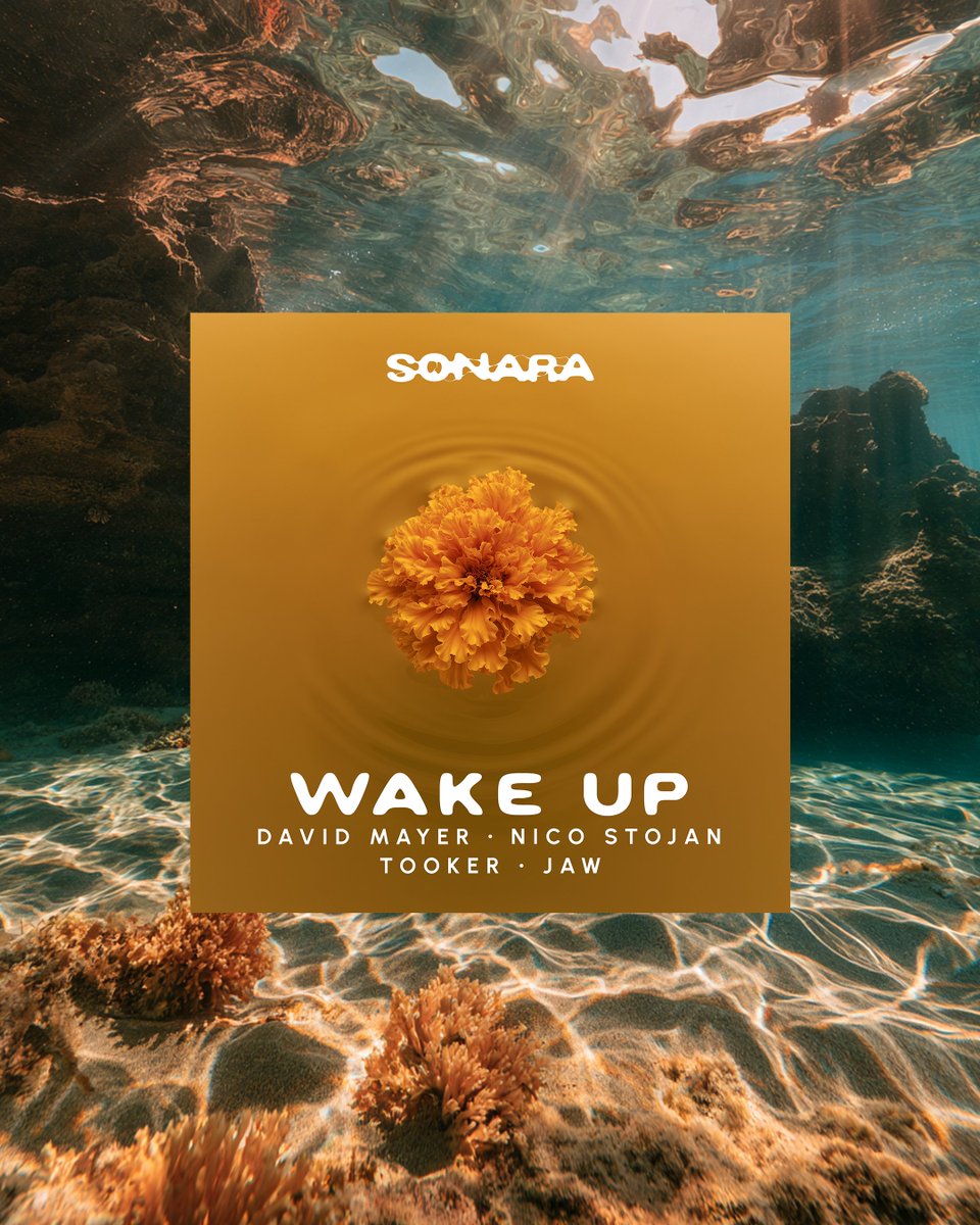 sonararecord's tweet photo. “Wake Up” by @nico_stojan, @DavidMayerAudio, and @tookermusic ft. JAW is here! This track is really special for all of us and is one of our SONARA favorites. We hope you enjoy it.

This is the first release we carry forward in Nico’s honor: https://t.co/a7zsRrqUsm https://t.co/4JBelQeGPR
