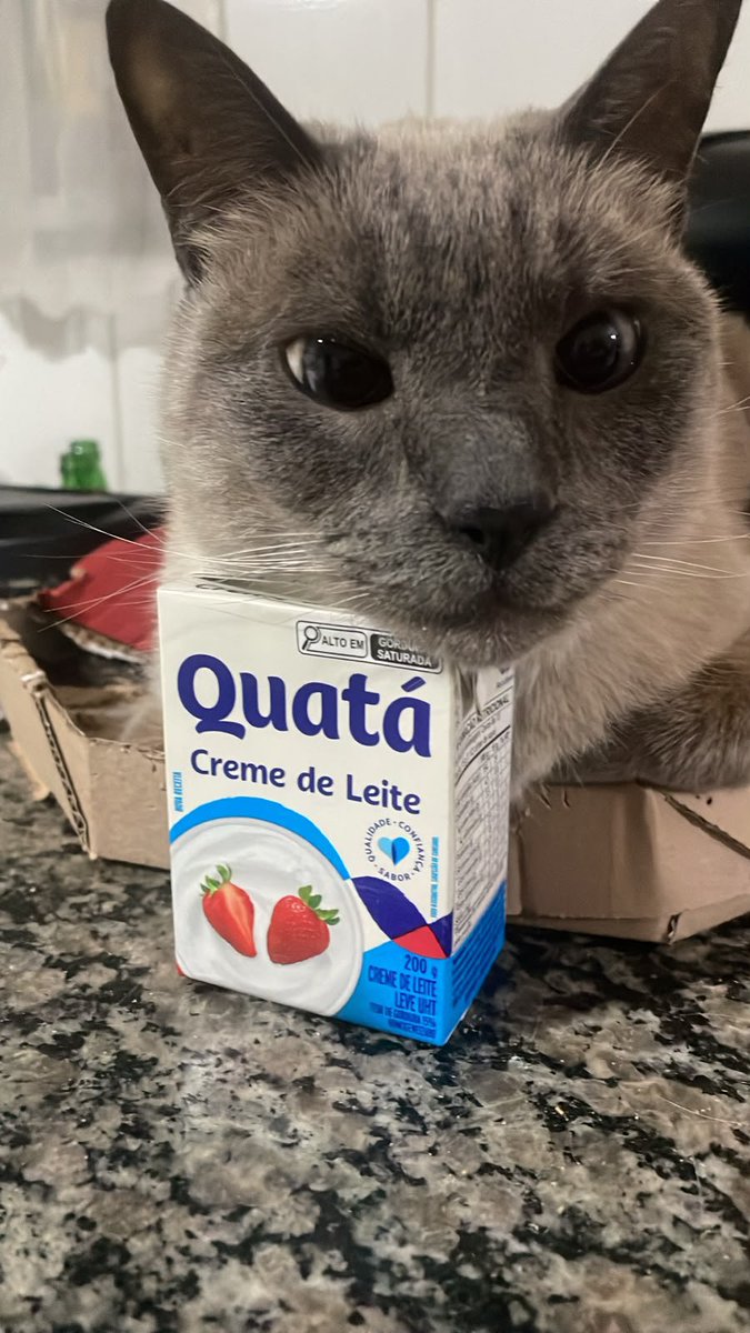 Deogul's tweet photo. Meu gato é assim com caixa de pizza, então somos obrigados a comprar pizza a cada 15 dias, pelo menos, pra renovar a cama do querido 

*Imagem ilustrativa - as vezes ele usa coisas de travesseiro https://t.co/dPDY3K4W7u