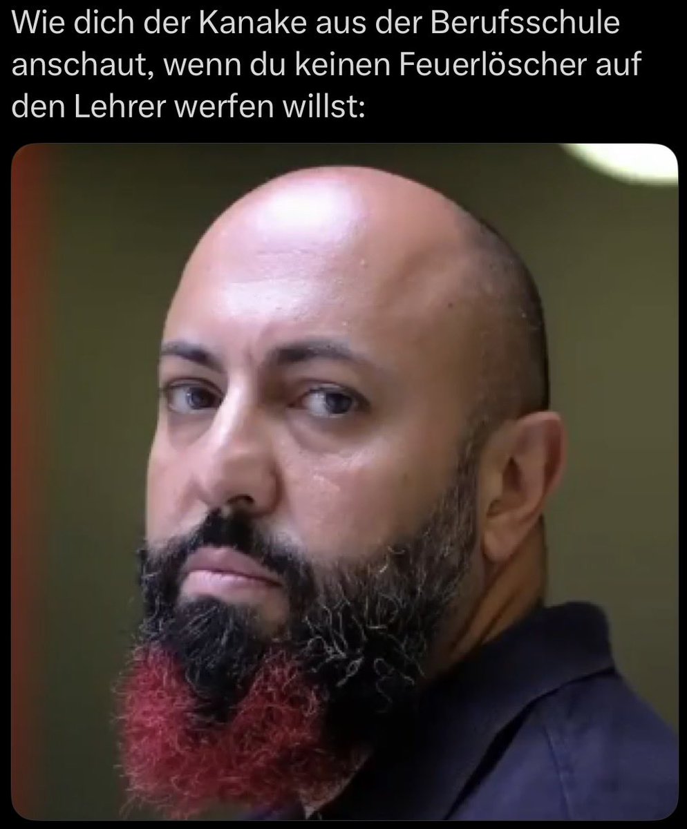 Kahlschlag's tweet photo. @marim686 https://t.co/3KO7uLMDlR
