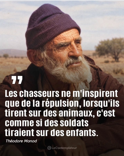 ChasseAbolition's tweet photo. https://t.co/GVVgbaBFci