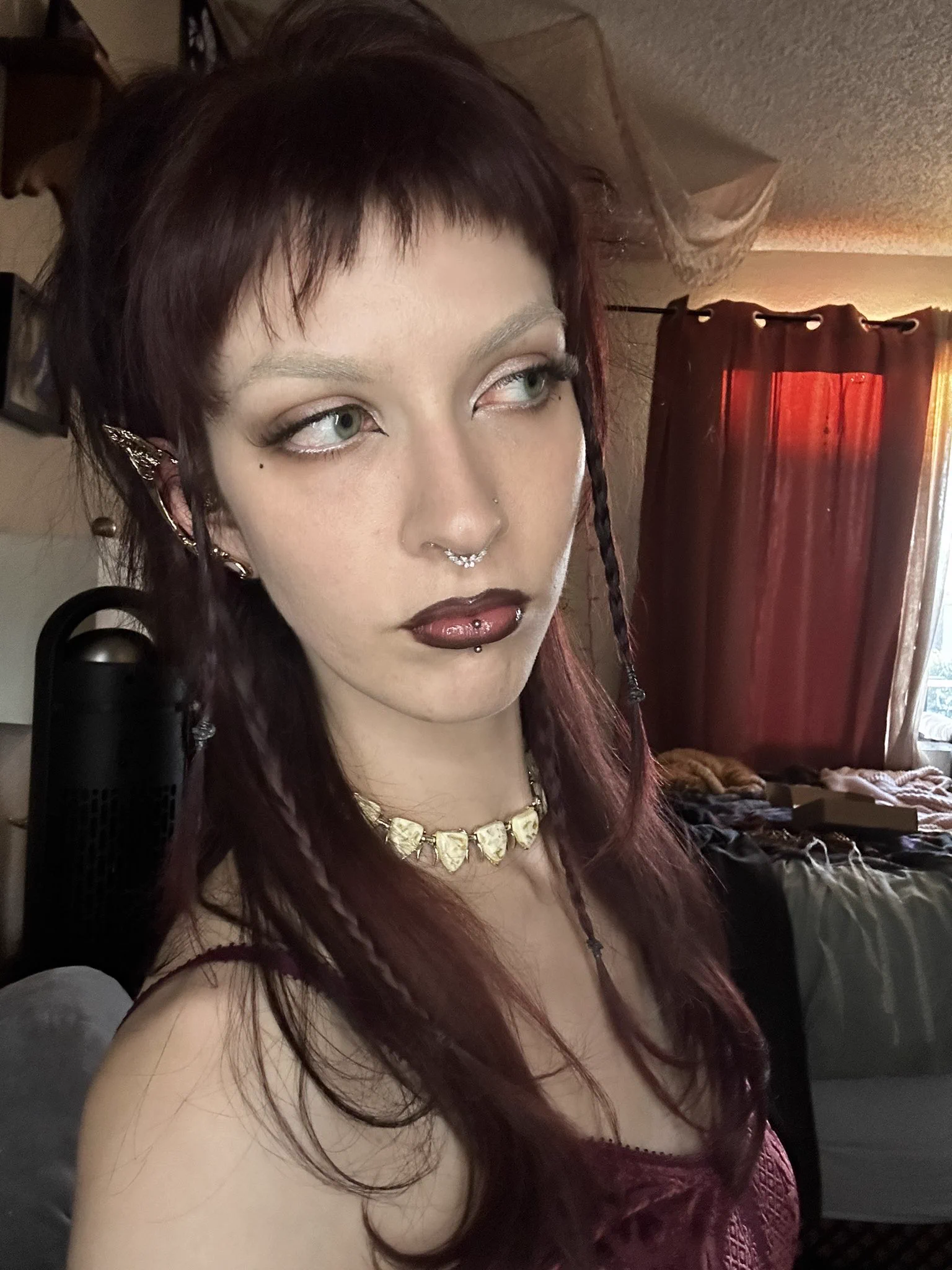 Crime Gothic Dorphins　6.6 𝖒𝖆𝖉𝖎𝖘𝖔𝖓 𓃴 on X: 