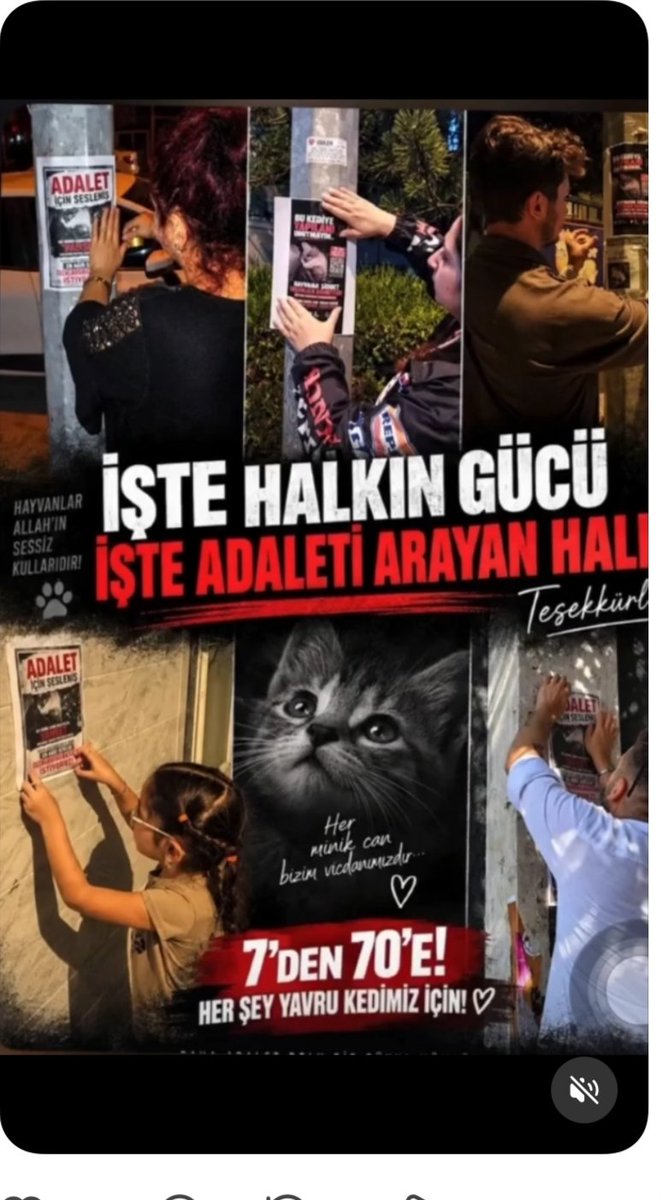 AyeglAk90393304's tweet photo. İyiler iyi ki var sayılarının artması dileğiyle 🙏🙏
#minigiunutma
#31GündürKatillerAramızda 
#canlarinhesabisorulsun https://t.co/PnIHlWrcvJ